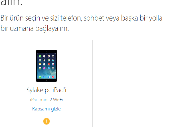 iPad Garanti Sorgulama